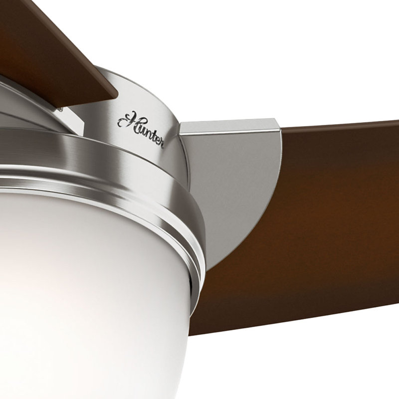 Hunter Fan Eurus 54Inch Single Light 3Blade Ceiling Fan & Reviews